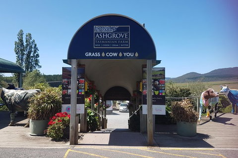 Cruise Ship Excursion: Gourmet Food & Wine - Hotel Accommodation 8