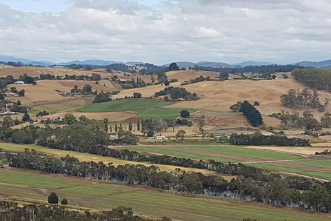 Cruise Ship Excursion: Gourmet Food & Wine - Hotel Accommodation 6