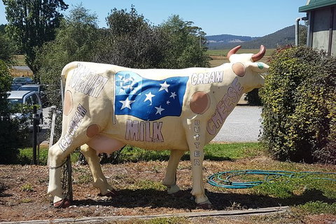 Cruise Ship Excursion: Gourmet Food & Wine - Hotel Accommodation 12