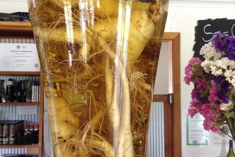 Cruise Ship Excursion: Gourmet Food & Wine - Hotel Accommodation 14