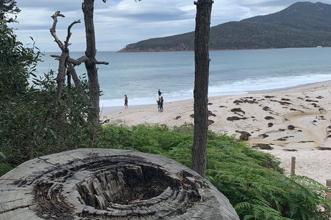 Wineglass Bay Beach Hike - Hotel Accommodation 15