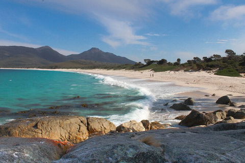 Wineglass Bay Beach Hike - Hotel Accommodation 20
