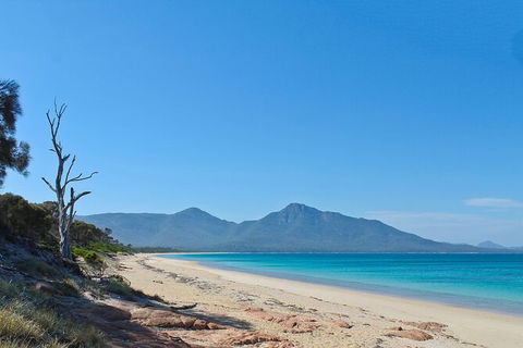 Wineglass Bay Beach Hike - Hotel Accommodation 1