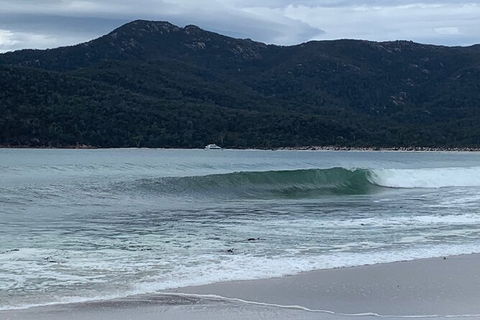 Wineglass Bay Beach Hike - Hotel Accommodation 11