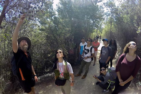 Wineglass Bay Beach Hike - Hotel Accommodation 9