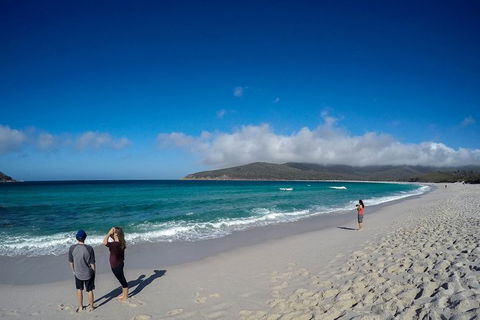 Wineglass Bay Beach Hike - Hotel Accommodation 18