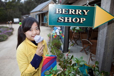 Wineglass Bay Beach Hike - Hotel Accommodation 27