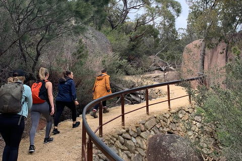 Wineglass Bay Beach Hike - Hotel Accommodation 13