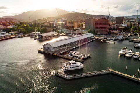 Deep-to-Dish: Tasmanian Seafood Experience - Morning Tour - Hotel Accommodation 2
