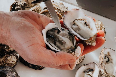 Deep-to-Dish: Tasmanian Seafood Experience - Morning Tour - Hotel Accommodation 5