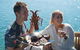 Deep-to-Dish: Tasmanian Seafood Experience - Morning Tour - thumb 0