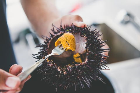 Deep-to-Dish: Tasmanian Seafood Experience - Morning Tour - Hotel Accommodation 9