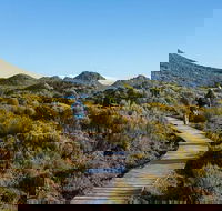 Hartz Mountains premium private photo-oriented day tour from Hobart - Hotel Accommodation