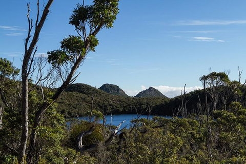 Hartz Mountains Premium Private Photo-oriented Day Tour From Hobart - Hotel Accommodation 1
