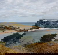 Shore Excursion Coast Caves and Wildlife Park - 8 hour tour