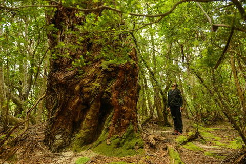 3-Day Southwest National Park Wilderness Camping Tour - Hotel Accommodation 4