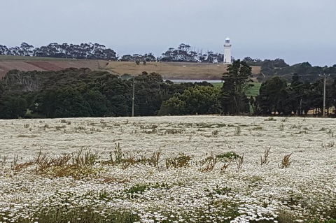 Cruise Ship Excursion: NW Tassie Coastal Explorer - Hotel Accommodation 14