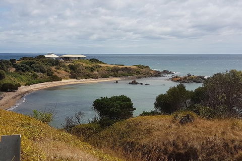 Cruise Ship Excursion: NW Tassie Coastal Explorer - Hotel Accommodation 13