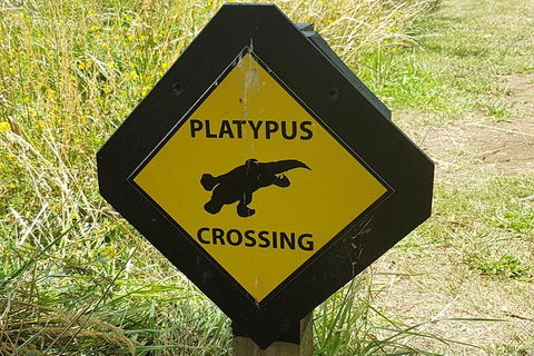 Cruise Ship Excursion: NW Tassie Coastal Explorer - Hotel Accommodation 11