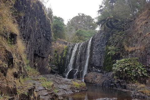 Cruise Ship Excursion: NW Tassie Coastal Explorer - Hotel Accommodation 16