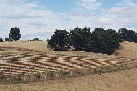 Cruise Ship Excursion: NW Tassie Coastal Explorer - Hotel Accommodation 9