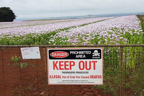 Cruise Ship Excursion: NW Tassie Coastal Explorer - Hotel Accommodation 10