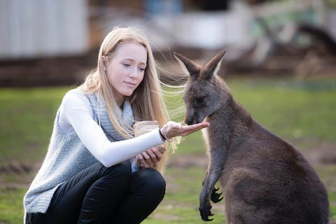 Cruise Ship Special From Hobart: Richmond And Bonorong Wildlife Park Shuttle - Hotel Accommodation 4