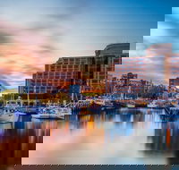 5 Day 4 Night Guided Tasmania Tour - Hotel Accommodation