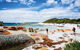 Wineglass Bay Private Charter Service - thumb 2
