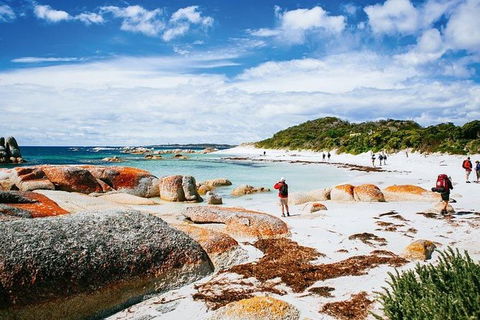 Wineglass Bay Private Charter Service - Hotel Accommodation 2