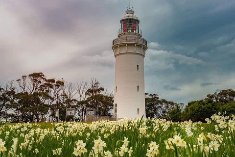 Table Cape Lighthouse Tours - Hotel Accommodation 7