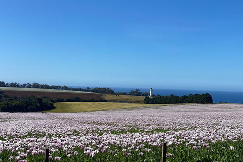 Table Cape Lighthouse Tours - Hotel Accommodation 8