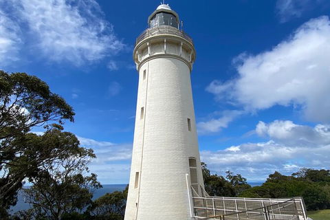 Table Cape Lighthouse Tours - Hotel Accommodation 4