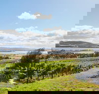 Launceston Wine  Sightseeing Tours