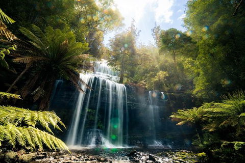 Mount Field Private Charter Service - Hotel Accommodation 2