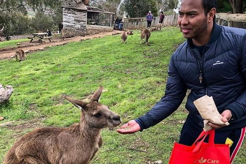 Bonorong Wildlife Volunteer Tour - Hotel Accommodation 2