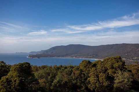 Discover Hobart: Port Arthur And Lavender Farm 1 Day Tour - Hotel Accommodation 5