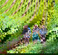 Hobart Highlights of Tasmanian Wine Full Day Tour - Hotel Accommodation