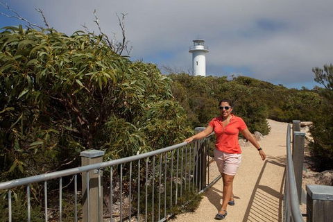 Half-Day Tour To Wineglass Bay From Launceston With Guide - Hotel Accommodation 2