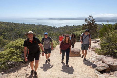 Half-Day Tour To Wineglass Bay From Launceston With Guide - Hotel Accommodation 4