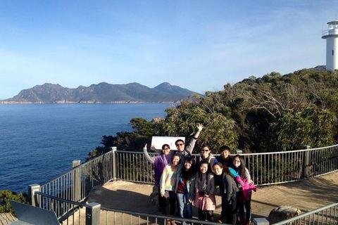 Half-Day Tour To Wineglass Bay From Launceston With Guide - Hotel Accommodation 3
