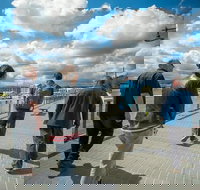 3.5 Hours Walking Guided Tour of Launceston Highlights