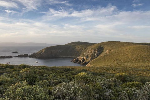 2.5-Hour Sunset At Cape Bruny Lighthouse Tour - Hotel Accommodation 2