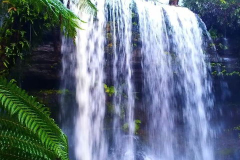 Hobart Minibus Full-Day Private Tour - Hotel Accommodation 5