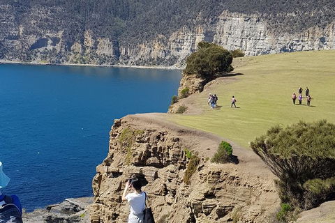 Hobart Minibus Full-Day Private Tour - Hotel Accommodation 1