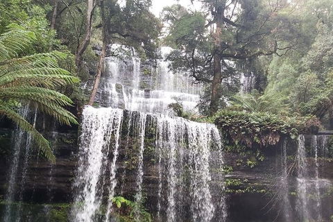 6-Day Small-Group Hearty Tasmania Tour From Hobart - Hotel Accommodation 5