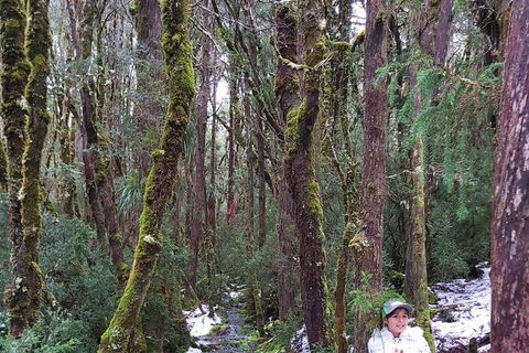 6-Day Small-Group Hearty Tasmania Tour From Hobart - Hotel Accommodation 2