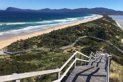 4-Day Fabulous Tasmania Tour: Wineglass Bay, Port Arthur, Devils & Bruny Island - Hotel Accommodation 3