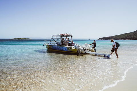 Sea & Explore Wineglass Bay & Freycinet National Park - Cruise & Walk - Hotel Accommodation 3