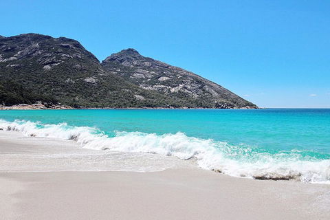 Sea & Explore Wineglass Bay & Freycinet National Park - Cruise & Walk - Hotel Accommodation 4